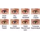 Контактные линзы Офтальмикс Butterfly Сolors 3Tone 2pk Контактные линзы Офтальмикс Butterfly Сolors 3Tone 2pk